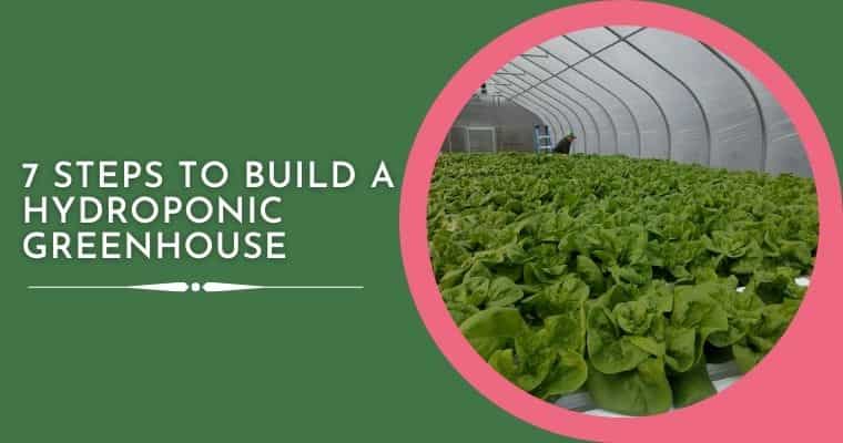 How To Build A Hydroponic Greenhouse