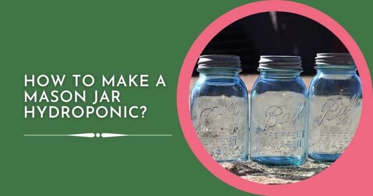 How To Make A Mason Jar Hydroponic
